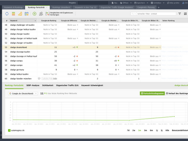 SEO Keyword Monitoring