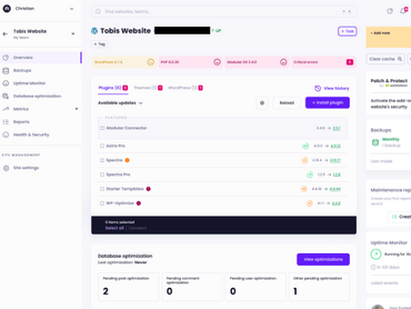 Wordpress Monitoring