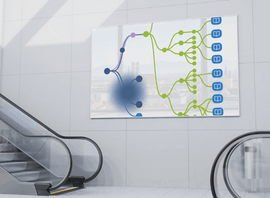Long-Tail-Keywords und Sichtbarkeit